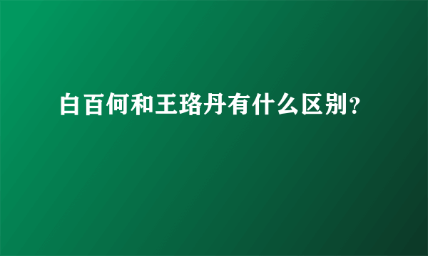 白百何和王珞丹有什么区别？