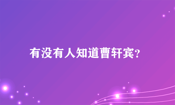 有没有人知道曹轩宾？