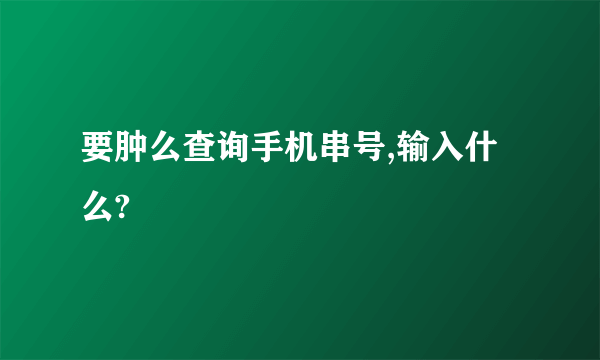 要肿么查询手机串号,输入什么?