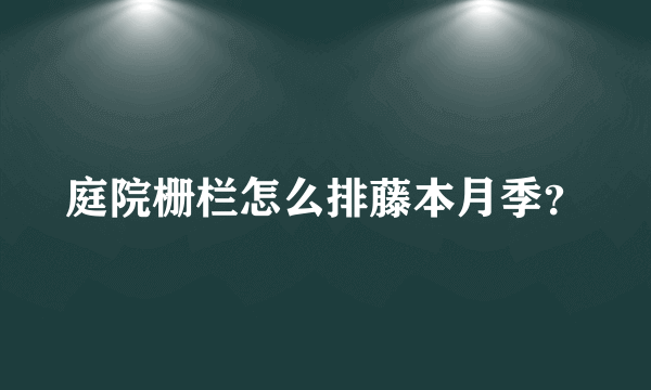 庭院栅栏怎么排藤本月季？