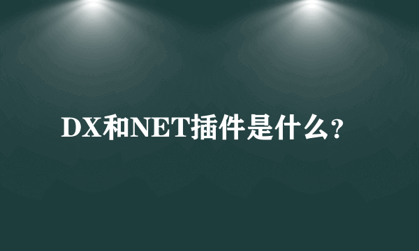 DX和NET插件是什么？