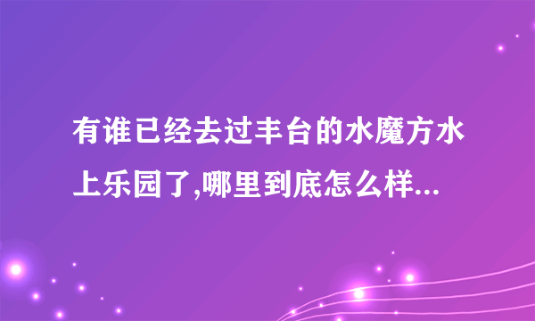 有谁已经去过丰台的水魔方水上乐园了,哪里到底怎么样,项目都开了吗,去的时候人多吗，可否带吃的进去。