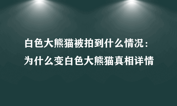 白色大熊猫被拍到什么情况：为什么变白色大熊猫真相详情