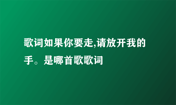 歌词如果你要走,请放开我的手。是哪首歌歌词