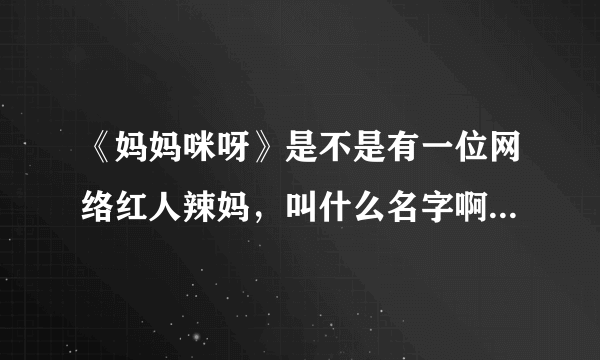 《妈妈咪呀》是不是有一位网络红人辣妈，叫什么名字啊？有人看过吗