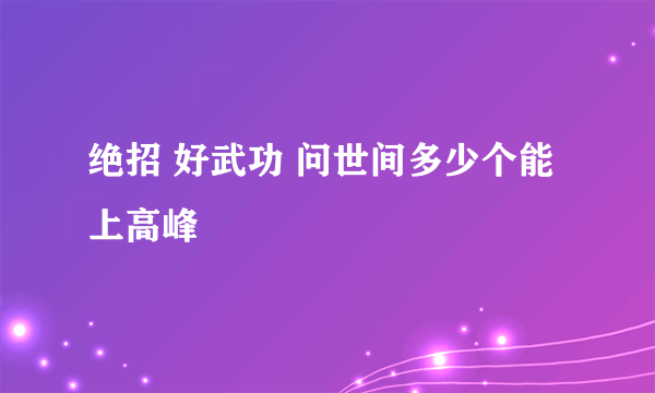 绝招 好武功 问世间多少个能上高峰