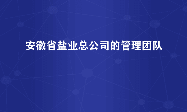 安徽省盐业总公司的管理团队