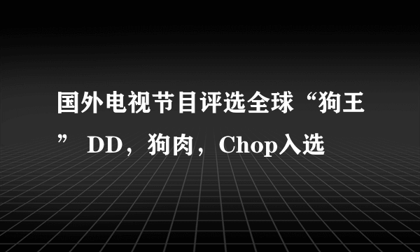 国外电视节目评选全球“狗王” DD，狗肉，Chop入选