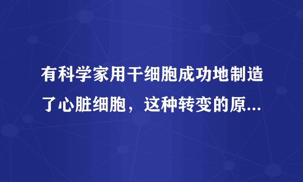 有科学家用干细胞成功地制造了心脏细胞，这种转变的原因最可能是﻿（   ）﻿A.干细胞分裂的结果B.干细胞分化的结果C.干细胞生长的结果D.干细胞成熟的结果