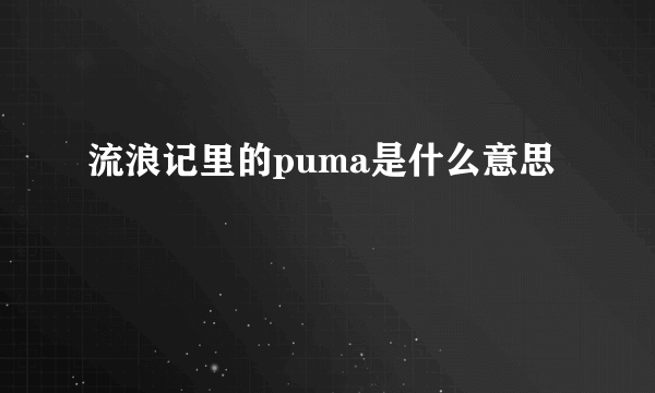 流浪记里的puma是什么意思