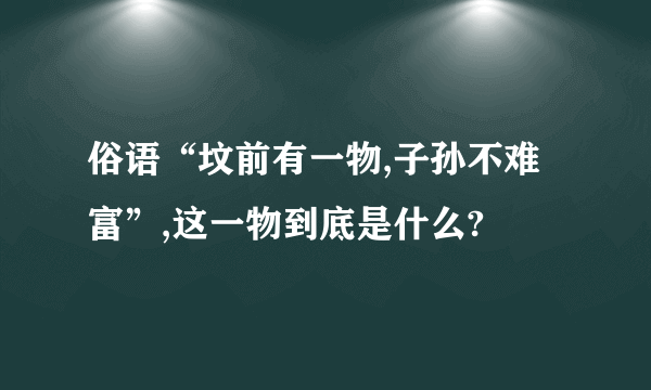 俗语“坟前有一物,子孙不难富”,这一物到底是什么?