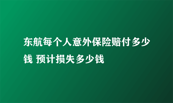 东航每个人意外保险赔付多少钱 预计损失多少钱