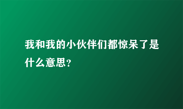 我和我的小伙伴们都惊呆了是什么意思？