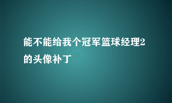 能不能给我个冠军篮球经理2的头像补丁