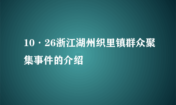 10·26浙江湖州织里镇群众聚集事件的介绍