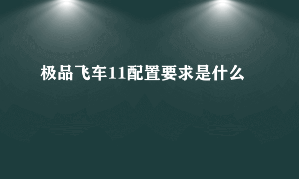 极品飞车11配置要求是什么