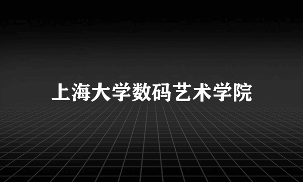 上海大学数码艺术学院