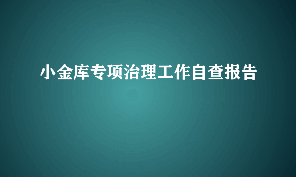 小金库专项治理工作自查报告