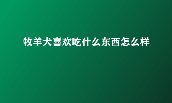 牧羊犬喜欢吃什么东西怎么样