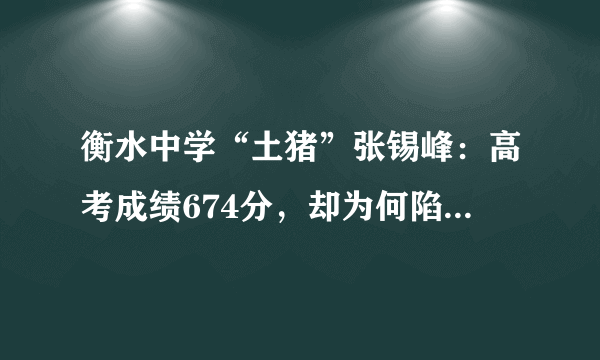 衡水中学“土猪”张锡峰：高考成绩674分，却为何陷入舆论之中？