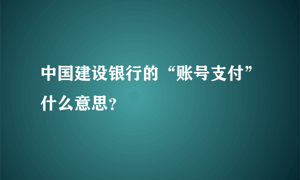 中国建设银行的“账号支付”什么意思？