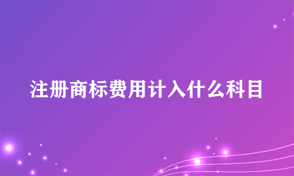 注册商标费用计入什么科目