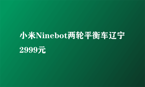 小米Ninebot两轮平衡车辽宁2999元