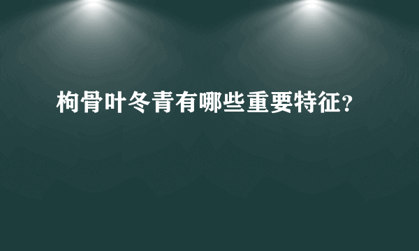 枸骨叶冬青有哪些重要特征？