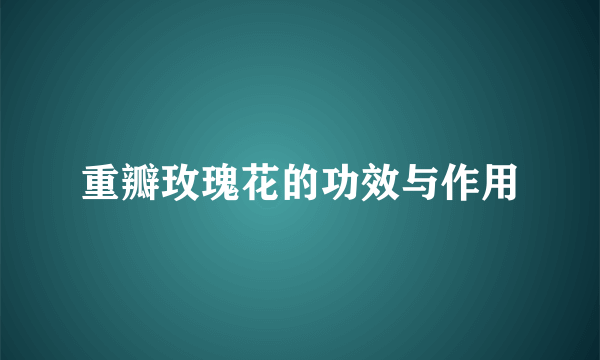 重瓣玫瑰花的功效与作用