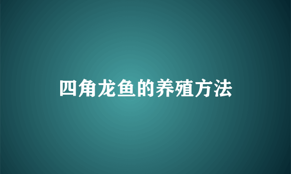 四角龙鱼的养殖方法