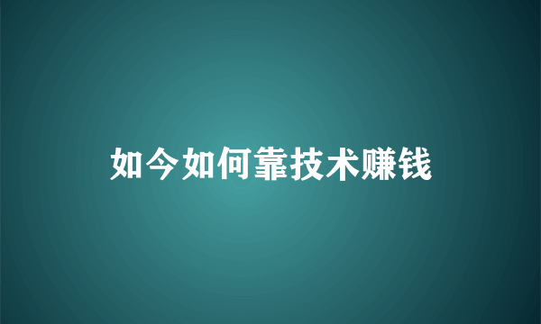 如今如何靠技术赚钱