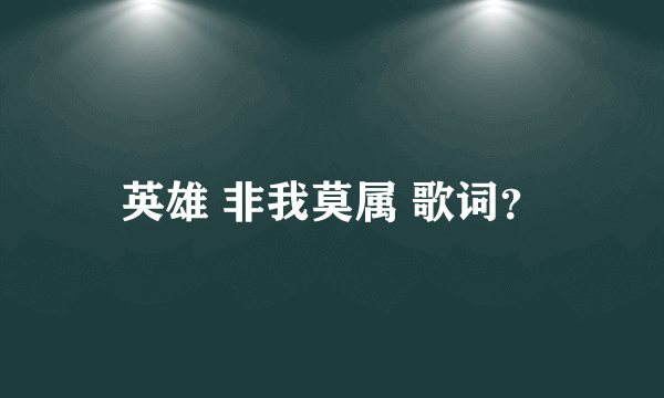 英雄 非我莫属 歌词？