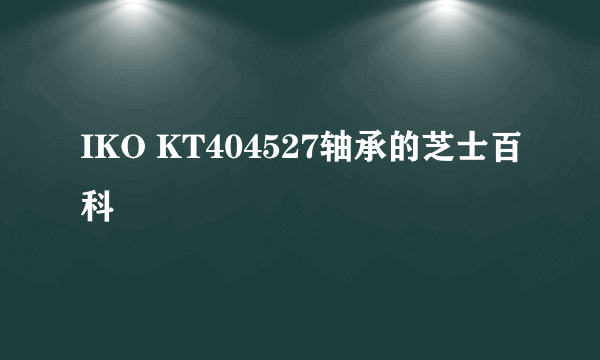 IKO KT404527轴承的芝士百科