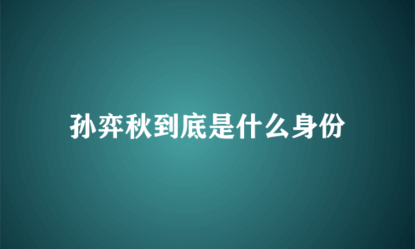 孙弈秋到底是什么身份