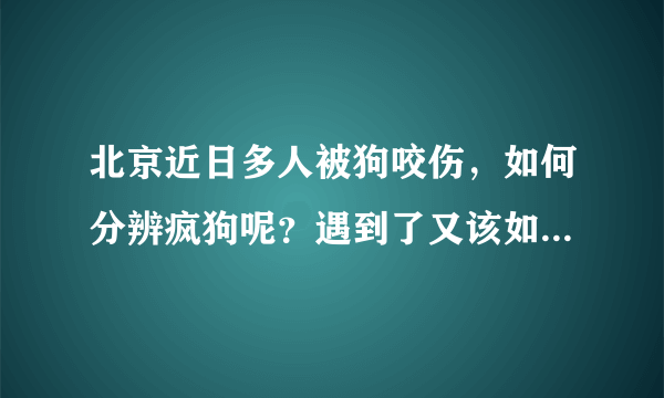 北京近日多人被狗咬伤，如何分辨疯狗呢？遇到了又该如何自救呢？