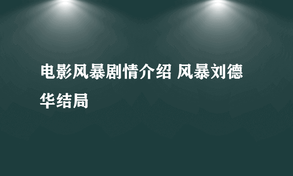 电影风暴剧情介绍 风暴刘德华结局