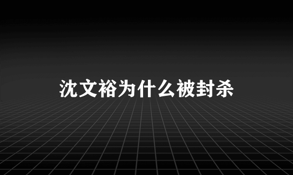 沈文裕为什么被封杀