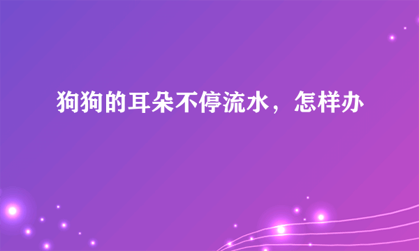 狗狗的耳朵不停流水，怎样办