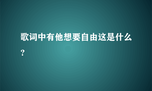 歌词中有他想要自由这是什么？