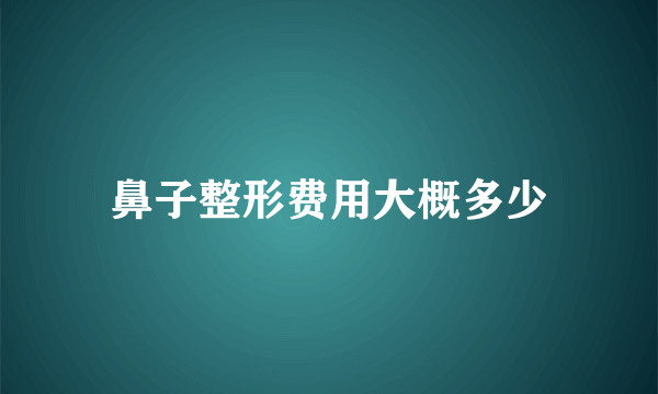 鼻子整形费用大概多少