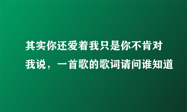 其实你还爱着我只是你不肯对我说，一首歌的歌词请问谁知道