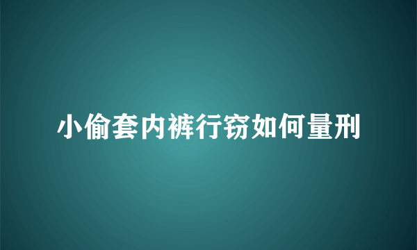 小偷套内裤行窃如何量刑