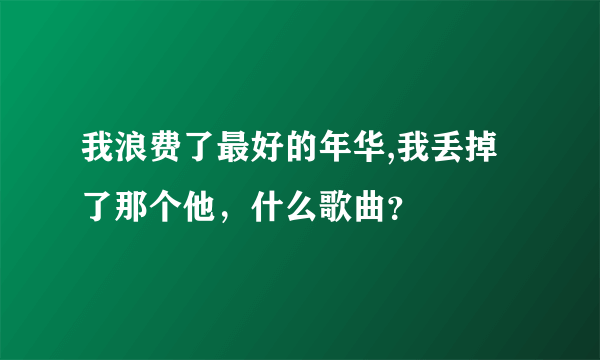 我浪费了最好的年华,我丢掉了那个他，什么歌曲？