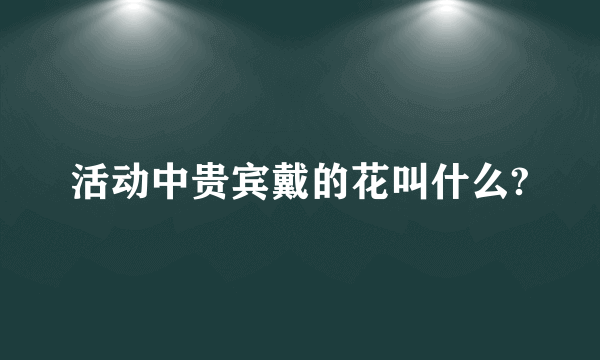 活动中贵宾戴的花叫什么?