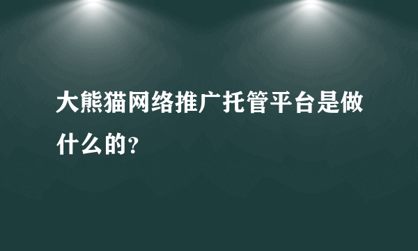 大熊猫网络推广托管平台是做什么的？