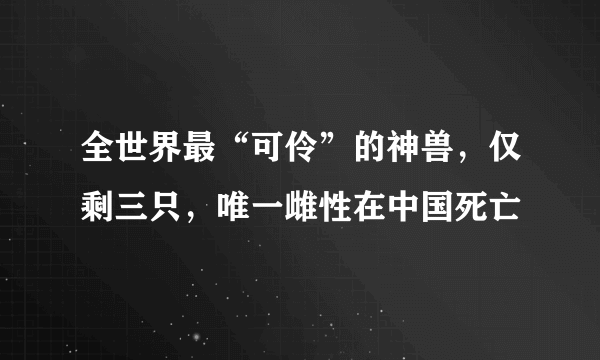 全世界最“可伶”的神兽，仅剩三只，唯一雌性在中国死亡