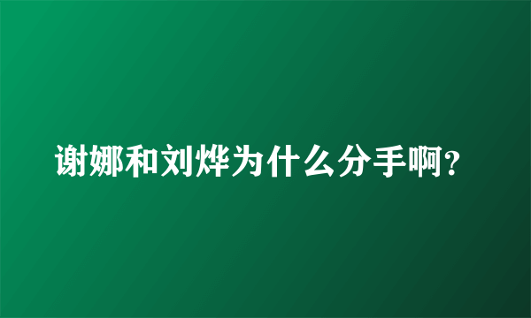 谢娜和刘烨为什么分手啊？