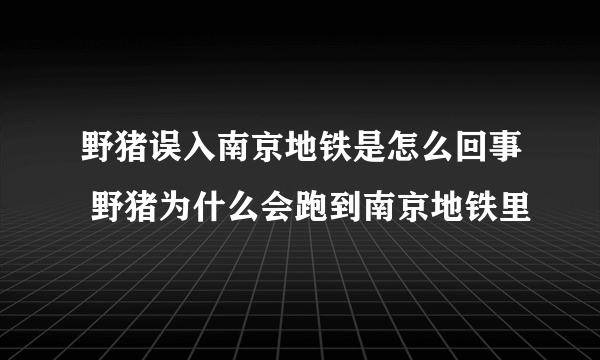 野猪误入南京地铁是怎么回事 野猪为什么会跑到南京地铁里