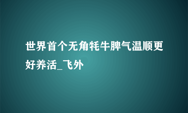 世界首个无角牦牛脾气温顺更好养活_飞外