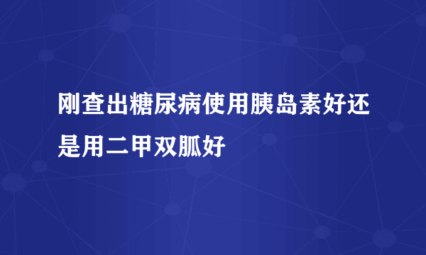 刚查出糖尿病使用胰岛素好还是用二甲双胍好